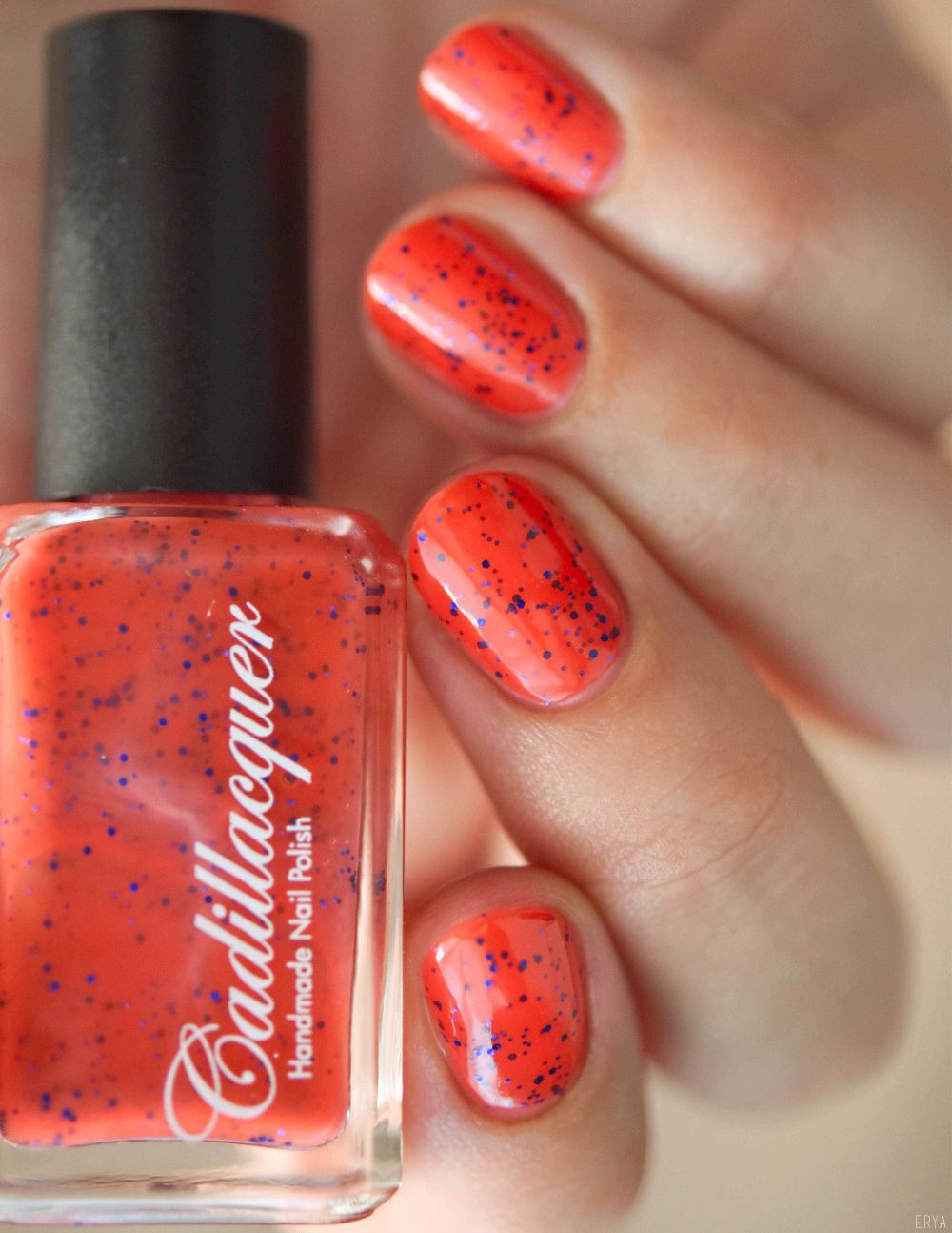 Cadillacquer-Embrace_The_Madness-7